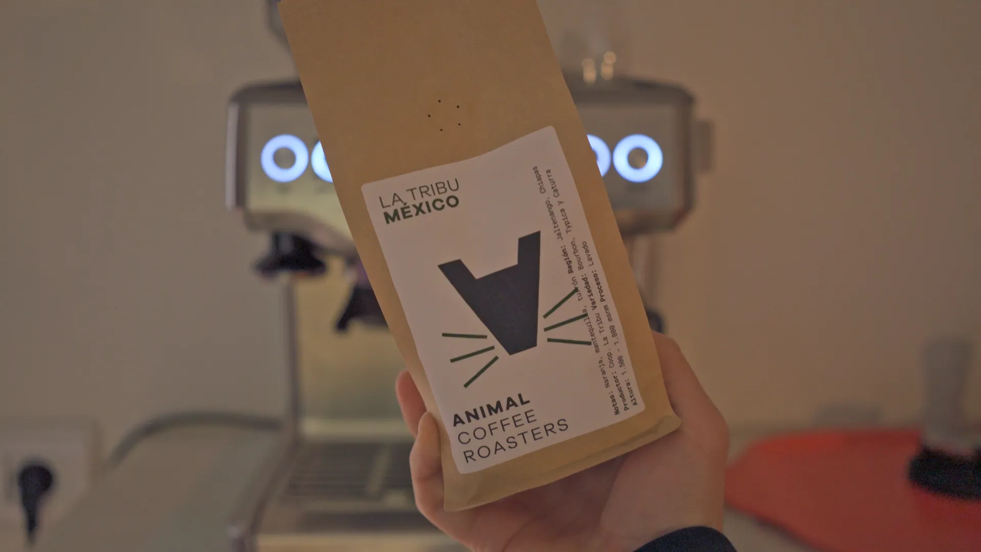 Los mejores cafés de especialidad