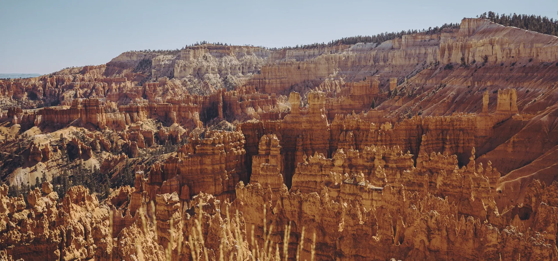 Paisaje de Bryce Canyon desde Bryce Point