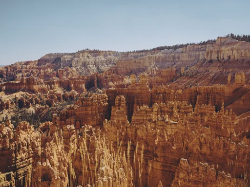 Paisaje de Bryce Canyon desde Bryce Point