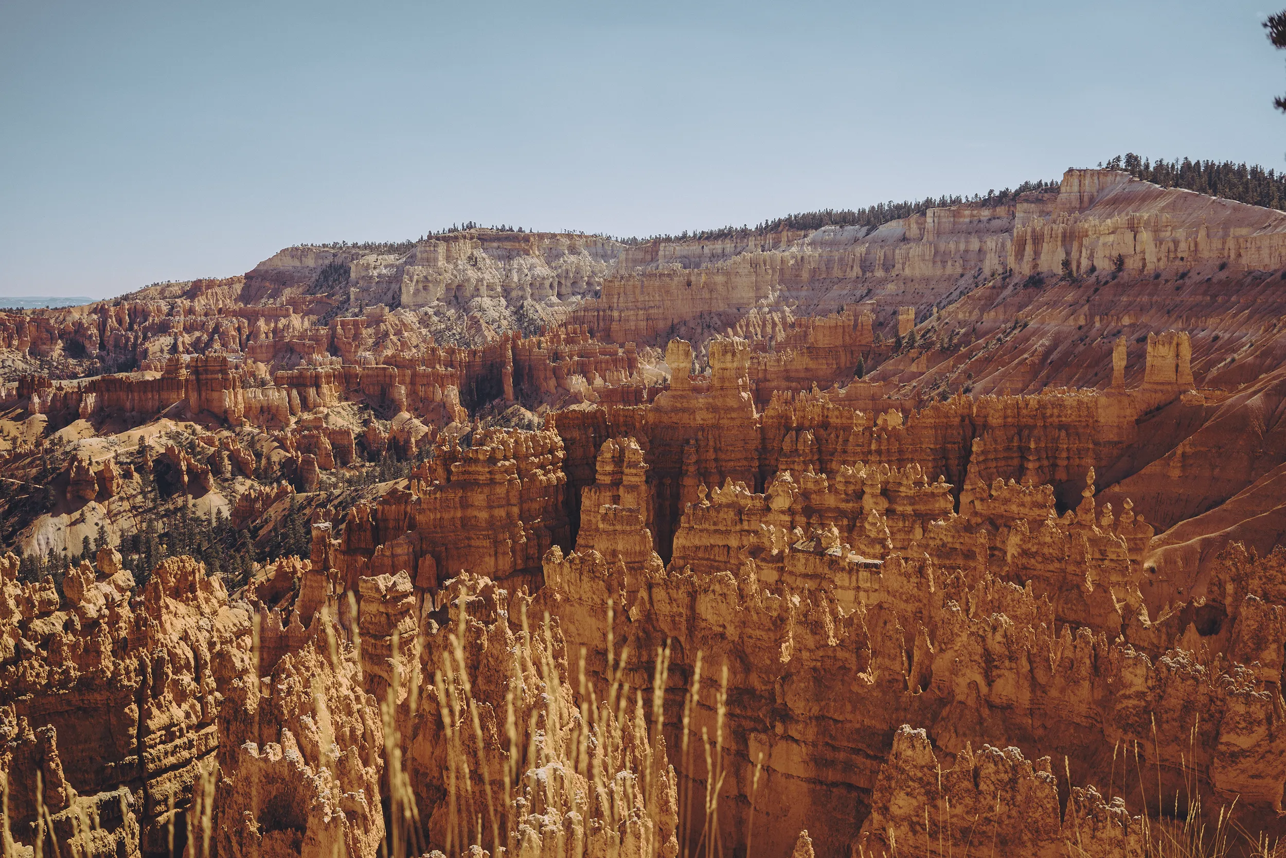 Paisaje de Bryce Canyon desde Bryce Point
