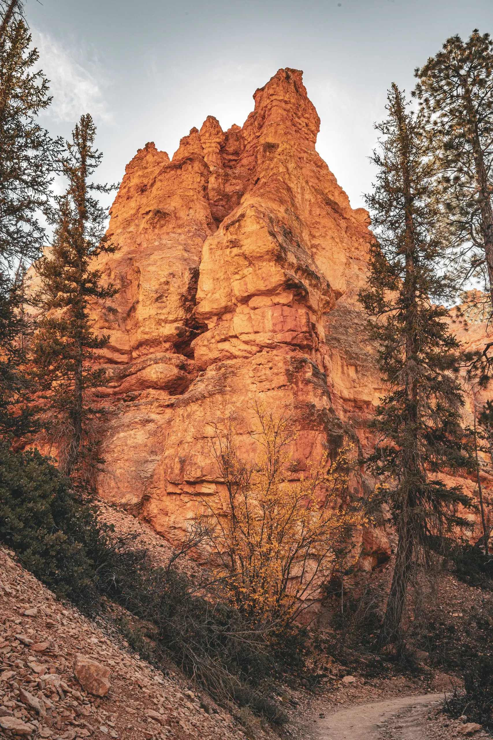 Imagen de una chimenea en Bryce Canyon durante el trekking por Peekaboo Trail