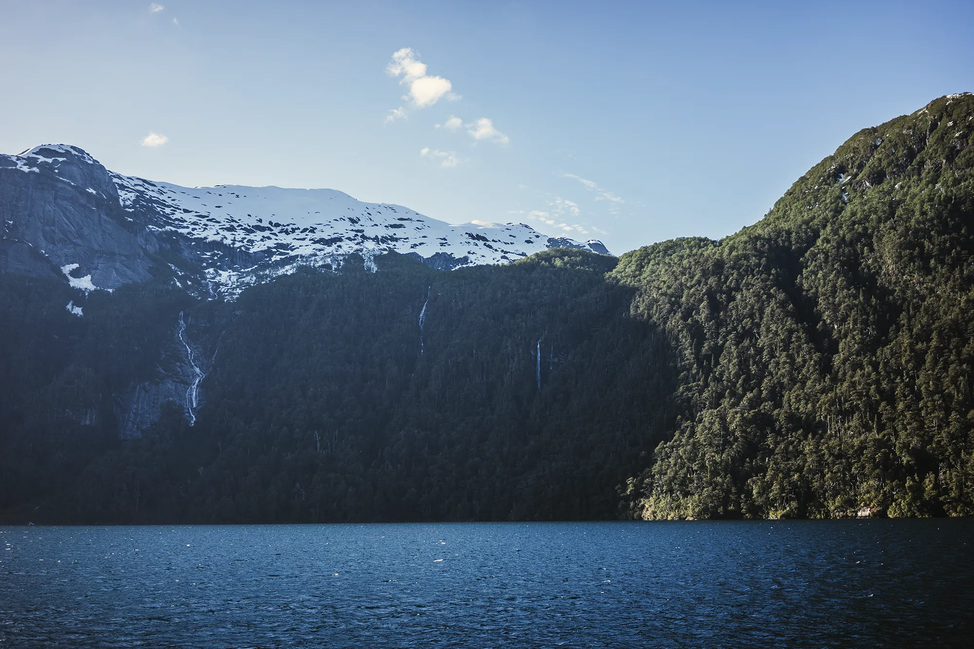 Entorno del Nahuel Huapi, cerca de Puerto Blest. 