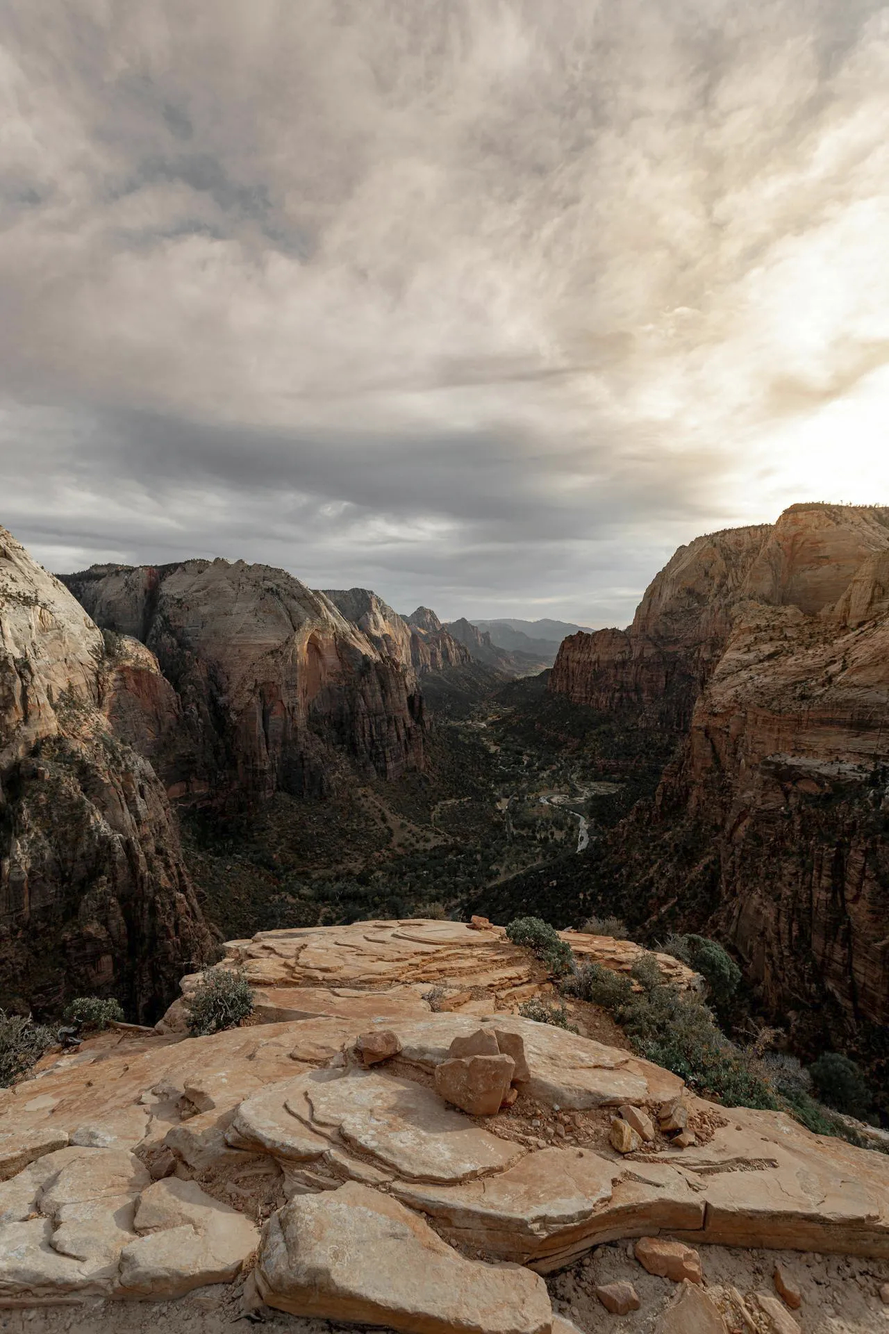 Paisaje en Observation Point, Zion National Park. 