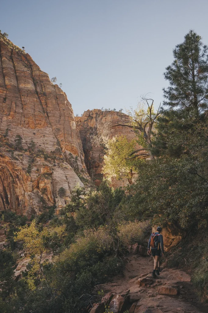 De camino a Canyon Overlook en Zion