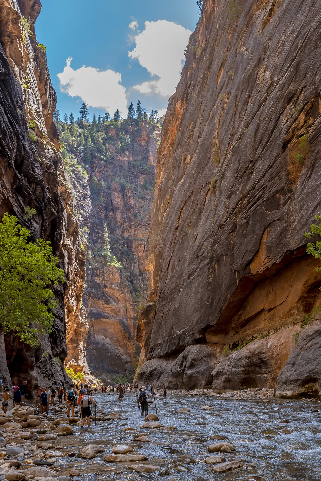 The Narrows, Zion National Park. 