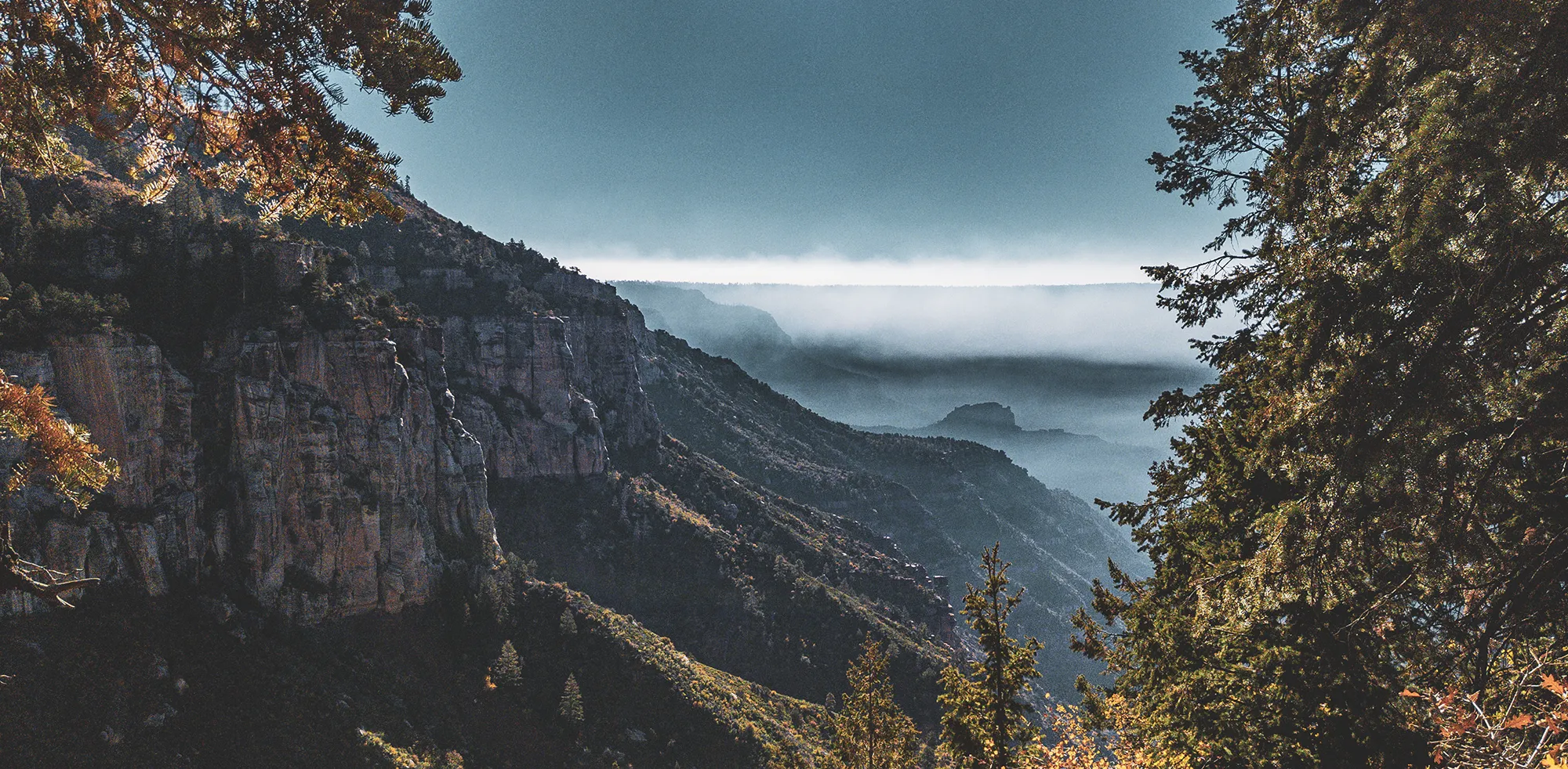 Vista desde Coconino Overlook