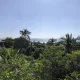 Playa Zicatela en Puerto Escondido